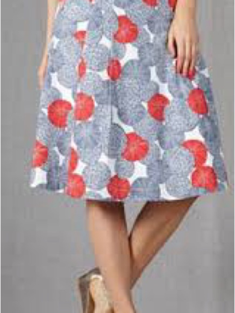 Floral fireworks sand dollar A-Line Skirt in Blue and Red BODEN sz 4L